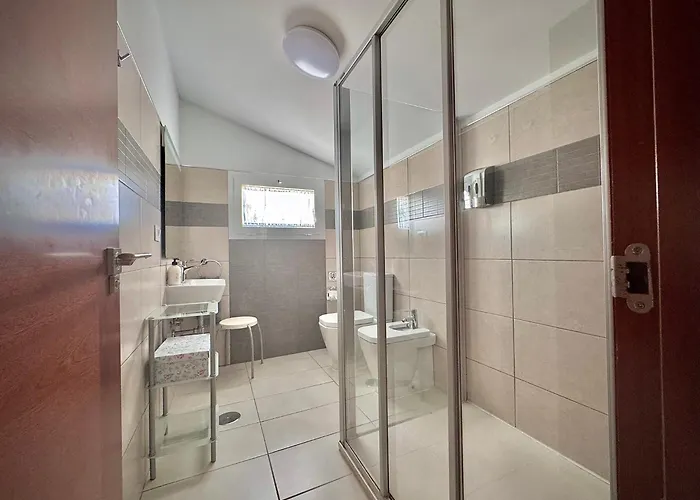 Miranda Remos コラレホ